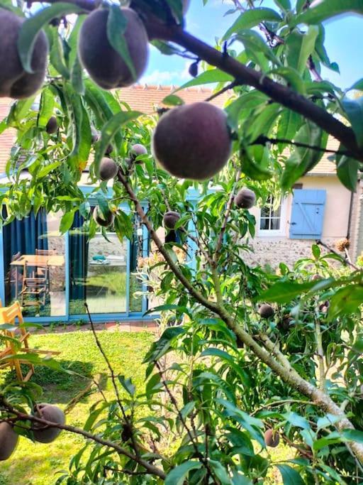 Charmante Maisonnette En Pierre Écardenville-sur-Eure Kültér fotó